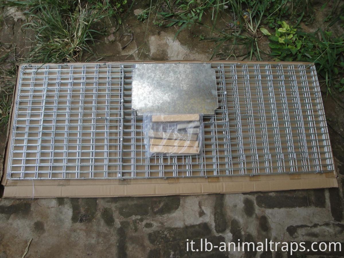 Live Animal Humane Trap Cage Catch and Release Rats topi topi roditori gabbia